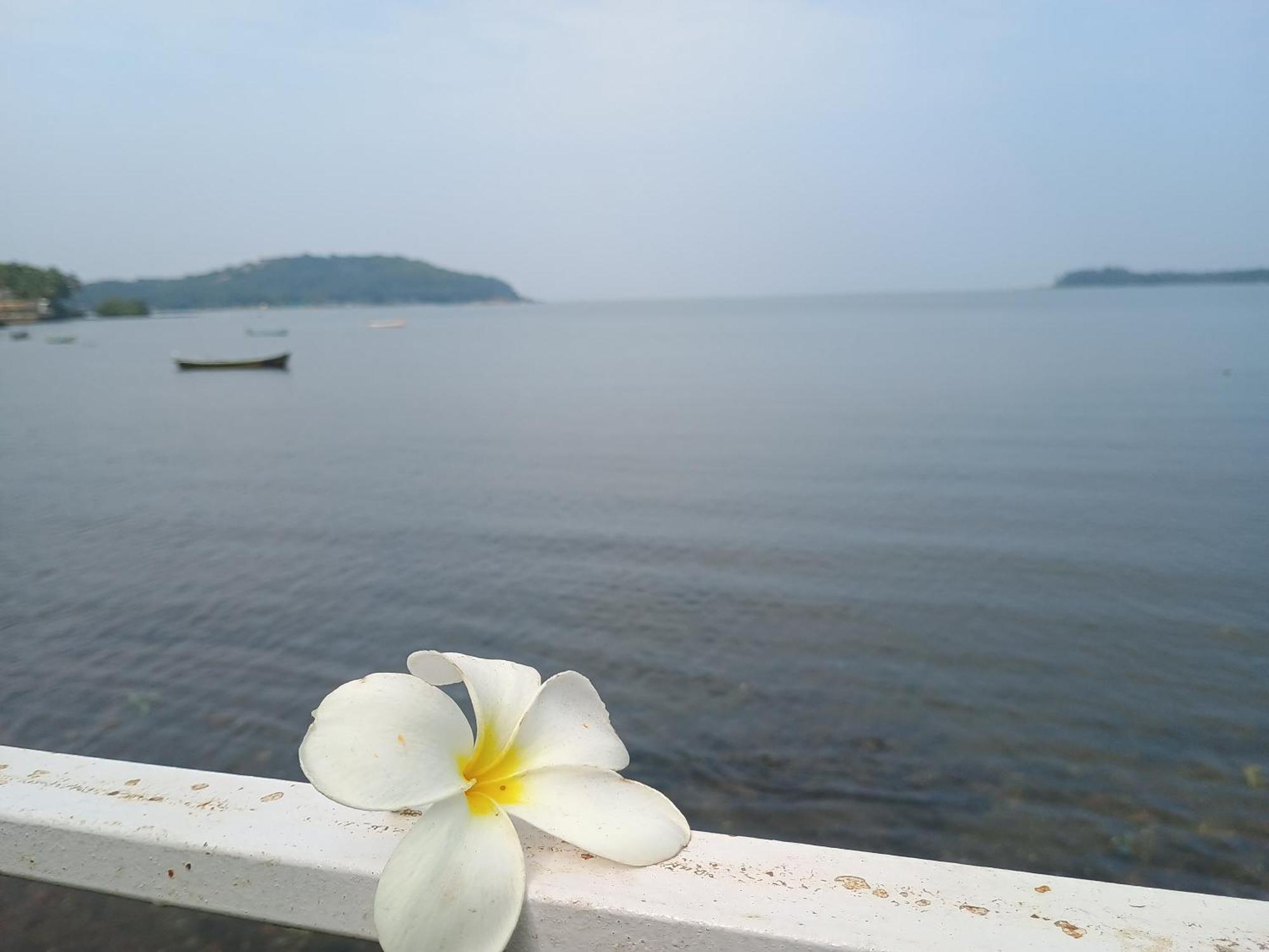 Gs On The Bay - Sea & Forest View Glass Guest house Vagator